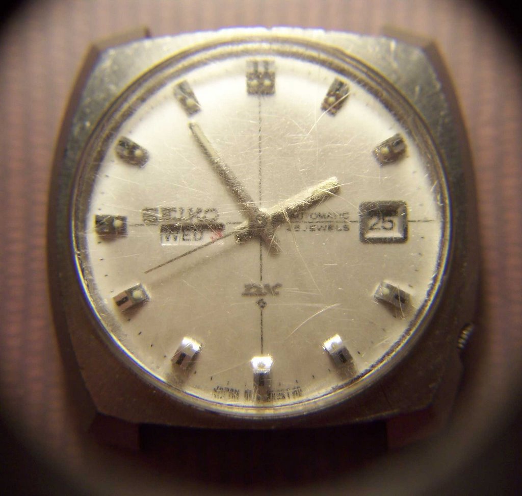 Seiko hotsell sea lion